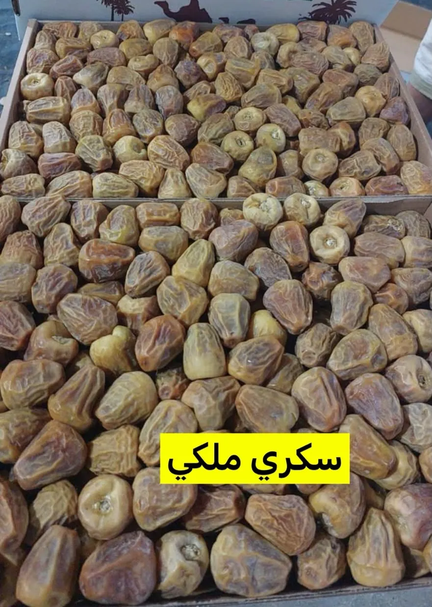 تمور ملكية فاخرة 🌴👑